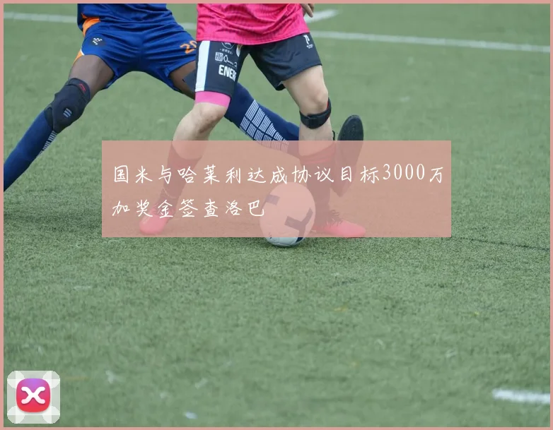 国米与哈莱利达成协议目标3000万加奖金签查洛巴