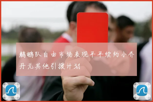 鹈鹕队自由市场表现平平续约小乔丹无其他引援计划