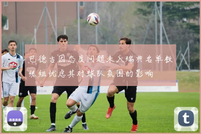 巴德吉因态度问题未入瑞典名单教练组忧虑其对球队氛围的影响